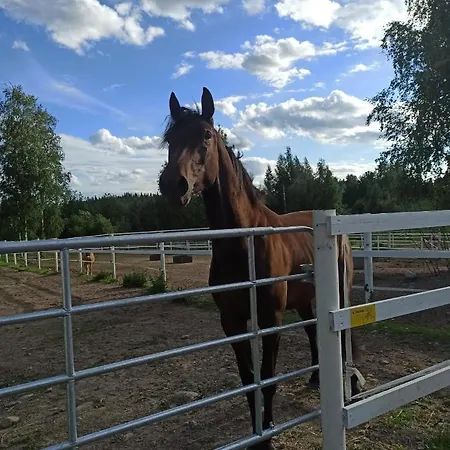 Apartmán Bb Polle - With The Horse View Mikkeli