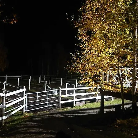 Bb Polle - With The Horse View Apartment