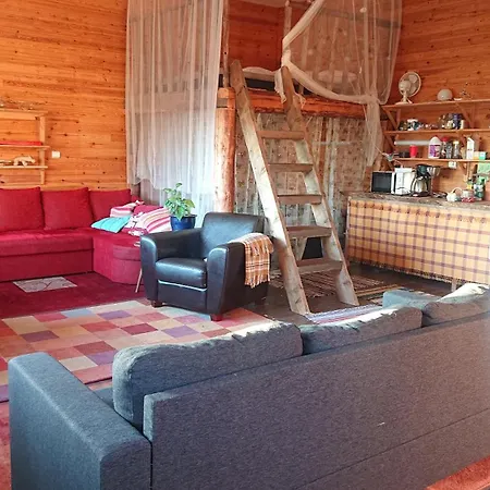 Bb Polle - With The Horse View *