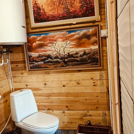 Bb Polle - With The Horse View * Mikkeli