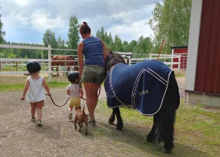 Bb Polle - With The Horse View