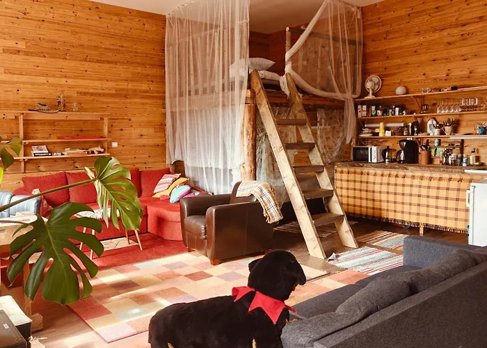 Bb Polle - With The Horse View Apartman Mikkeli